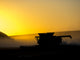 Combine Harvesting at Sunset Poster Print by Terry Eggers