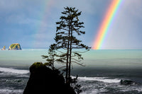 Rainbow Over Point of the Arches and Shi Shi Beach Poster Print