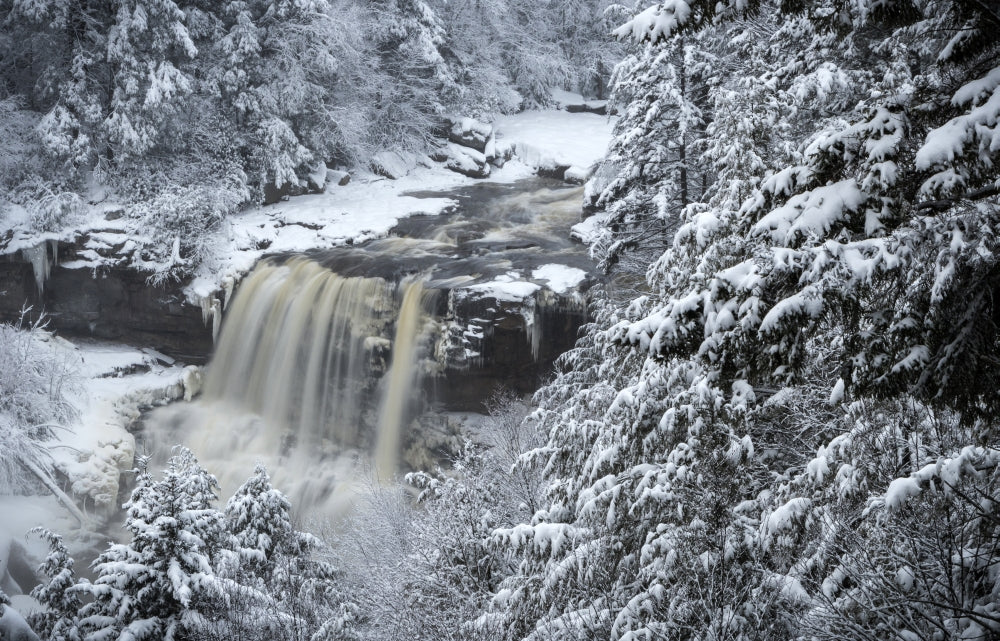 Blackwater Falls State Park winter poster print featuring forest and waterfall scenery.