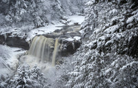 Blackwater Falls State Park winter poster print featuring forest and waterfall scenery.