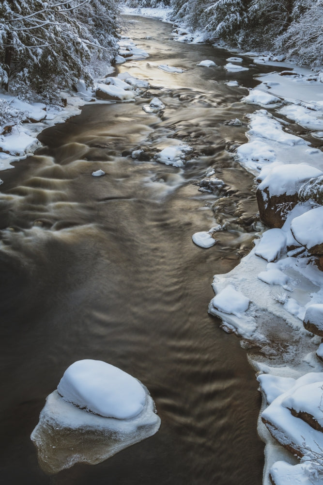 Winter scene of Blackwater Falls State Park with forest and stream.