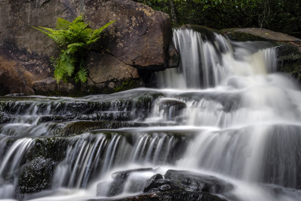 Blackwater Falls State Park Stream Cascade Poster Print