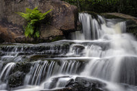Blackwater Falls State Park Stream Cascade Poster Print