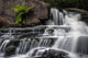 Blackwater Falls State Park Stream Cascade Poster Print