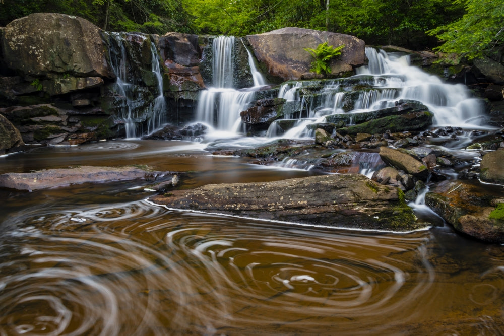 Blackwater Falls State Park stream cascade poster print