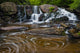 Blackwater Falls State Park stream cascade poster print