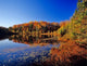 Pond in the Chaquamegon National Forest Poster Print by Chuck Haney