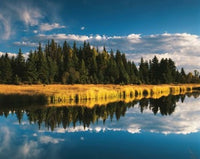 Trees Reflecting in Snake River Grand Teton National Park Poster Print by Adam Jones