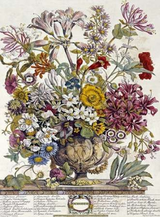 October - Twelve Months of Flowers Poster Print by Robert Furber