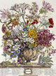 October - Twelve Months of Flowers Poster Print by Robert Furber