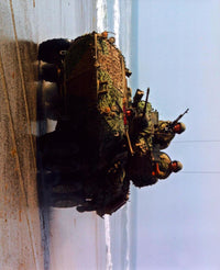 Army Tank on Beach Photo Print - Stunning military photography