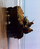Army Tank on Beach Photo Print - Stunning military photography