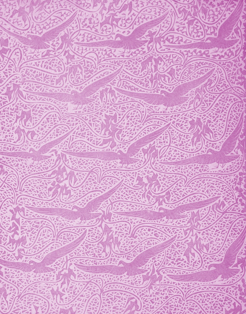 x-African Birds Poster Print showcasing vibrant colors and intricate details.