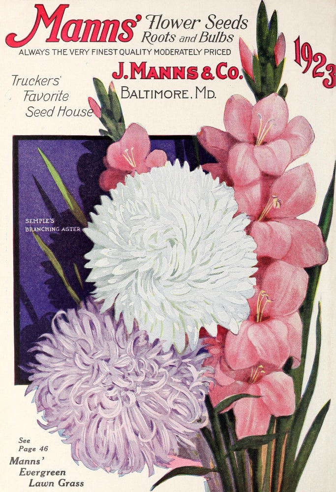 Mann's Superior Seeds 1923 Flowers Poster Print showcasing vintage floral design.