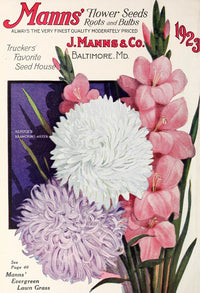 Mann's Superior Seeds 1923 Flowers Poster Print showcasing vintage floral design.