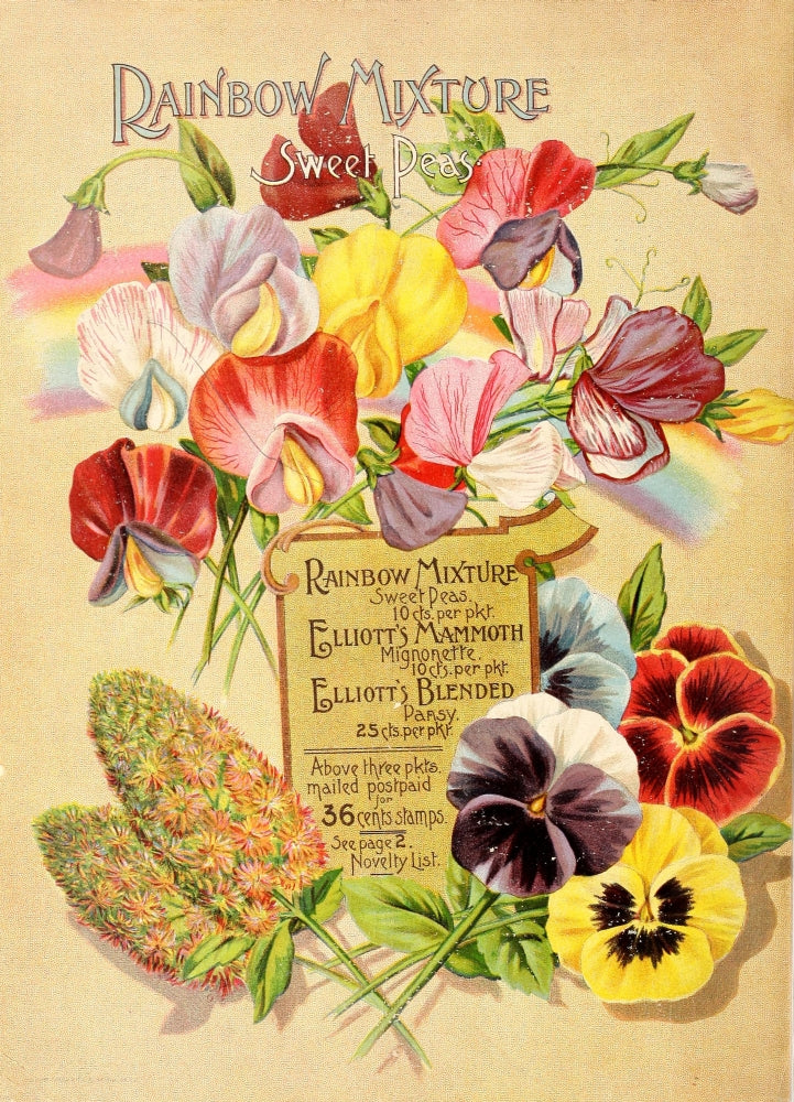 Wm. Elliott & Sons 1894 Flowers Poster Print showcasing vintage floral designs.