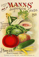 Mann's Superior Seeds 1921 Vegetable Poster Print showcasing vintage vegetable illustrations.
