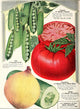 Maule's Seed Book 1933 Vintage Vegetable Poster Print showcasing various vegetables.