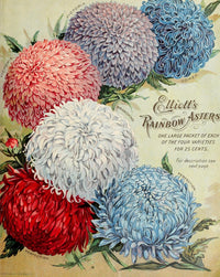 Wm. Elliott & Sons 1900 Flowers Poster Print showcasing vibrant floral design.