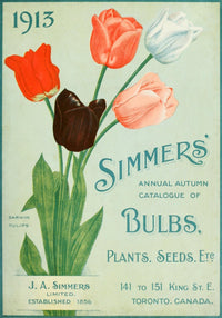 Simmers Bulbs, Plants & Seeds 1913 Poster Print showcasing vintage botanical illustration.
