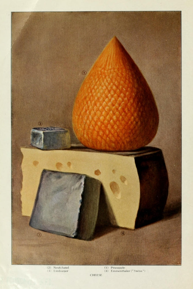 The Grocer's Encyclopedia 1911 Cheese Poster Print showcasing various cheese types.
