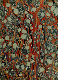 Ornamental Iron Work Poster Print showcasing original designs from 1867.
