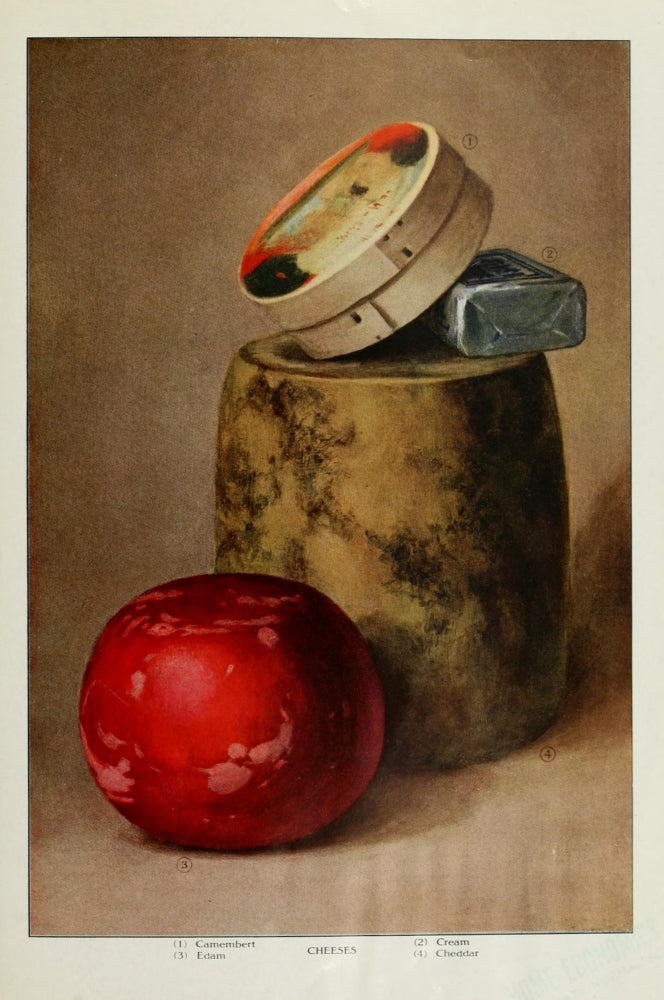 The Grocer's Encyclopedia 1911 Cheeses Poster Print showcasing various cheeses.