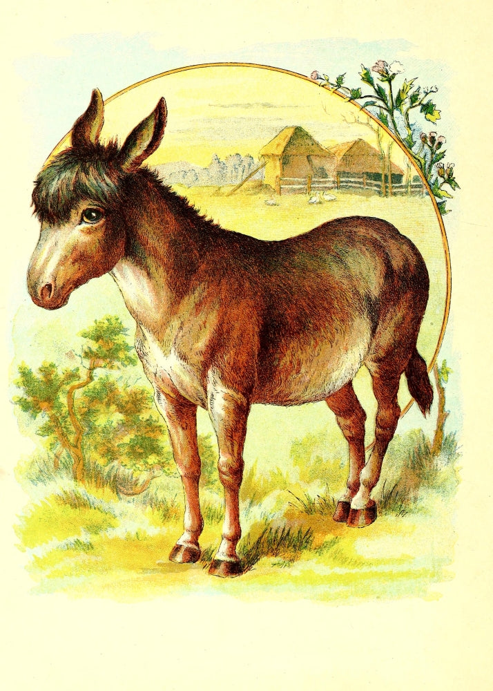 Friendly Animals Donkey Poster Print from 1905, charming animal art.