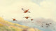Grouse on the Wing Poster Print by Charles Whymper, showcasing wildlife in motion.