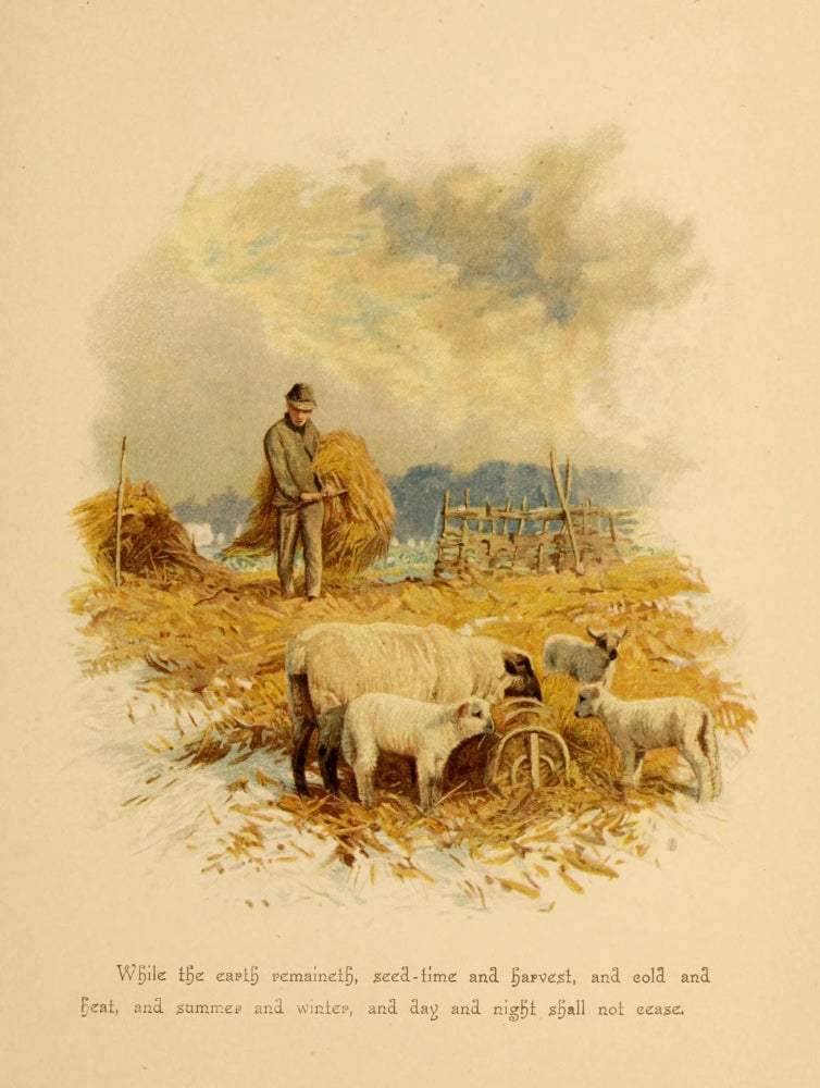 Phillips Brooks' Poems 1890 Sheep Poster Print showcasing literary elegance.