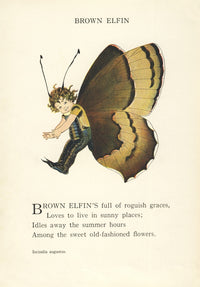 Butterfly Babies 1914 Brown Elfin Poster Print by M.T. Ross