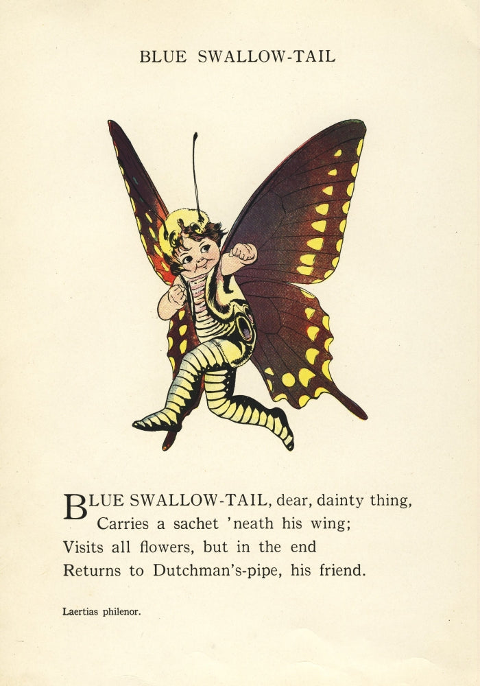 Butterfly Babies 1914 Blue Swallow-tail Poster Print by M.T. Ross