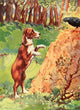 Beautiful Joe 1907 He Barked at the Bird Poster Print by John Nicholson