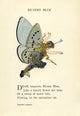 Butterfly Babies 1914 Silvery Blue Poster Print by M.T. Ross