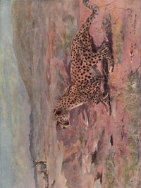 Wild Beasts of the World 1909 Cheetah Poster Print by Cuthbert E. Swan