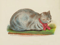 Cats 1877 Silver or Blue Tabby Poster Print showcasing vintage feline art.