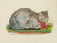 Cats 1877 Silver or Blue Tabby Poster Print showcasing vintage feline art.