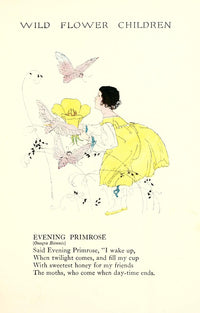 Wild Flower Children Evening Primrose Poster Print by Janet Laura Scott