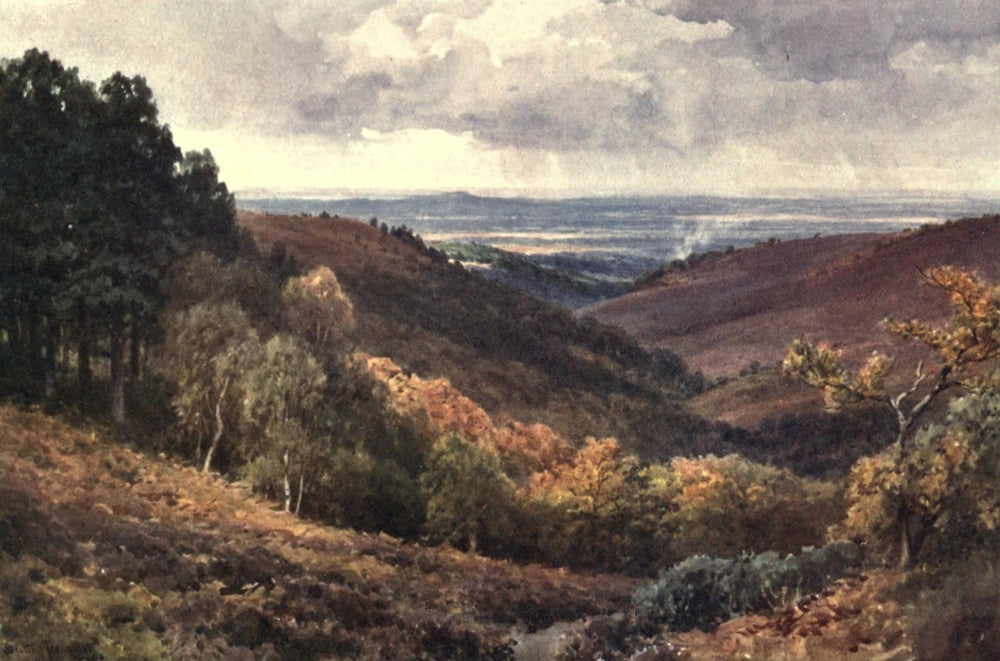 Surrey 1906 Hindhead The Punchbowl looking North Poster Print by Harold Sutton Palmer