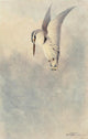 Egyptian Birds 1909 Black & White Kingfisher Poster Print by Charles Whymper