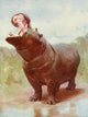 The People's Natural History 1903 Hippo Gaping Poster Print showcasing a majestic hippo.
