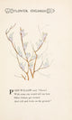 Flower Children 1910 Pussy Willow Poster Print by M.T. Ross showcasing whimsical flower children.