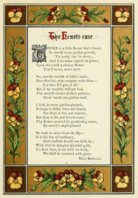 Heart's Ease Floral Gift Poster Print by Samuel Stanesby - Beautiful floral artwork