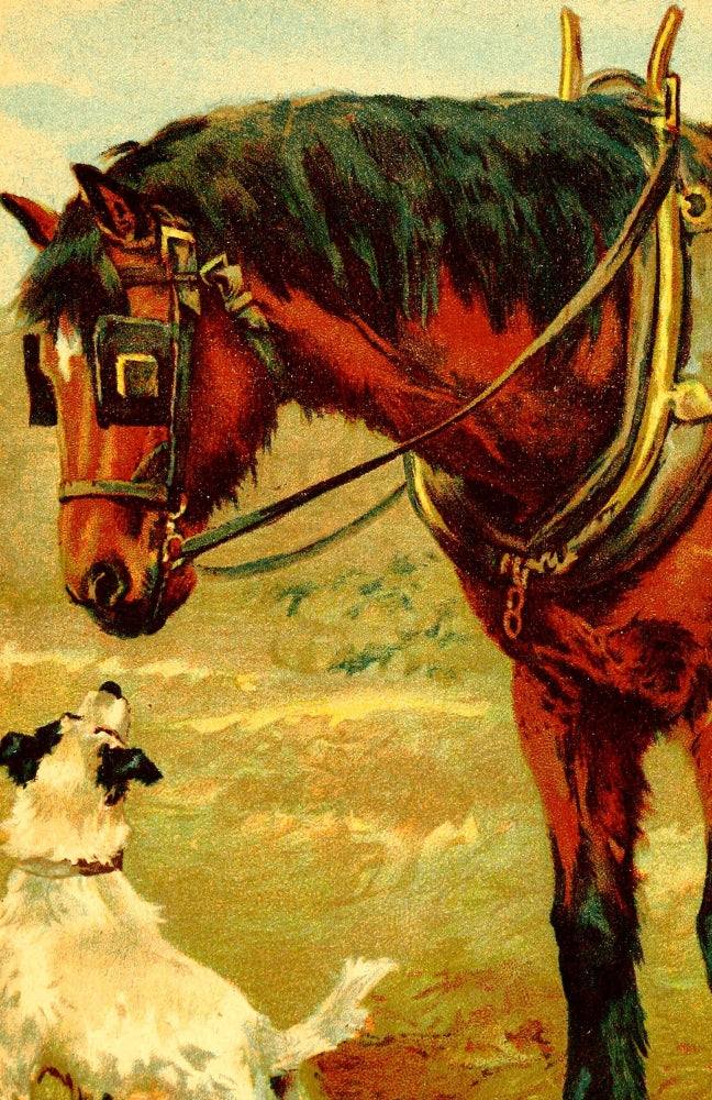Horse Tales 1924 Poster Print featuring vintage equestrian art.