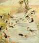 Life of a Foxhound 1890 Poster Print by James Affleck Shepherd