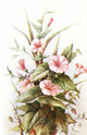Flowers & Their Story 1907 Convolvulus Poster Print showcasing vibrant convolvulus flowers.