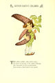 Mother Earth's Children St. John's Bread Poster Print by M.T. Ross, 1914 artwork.