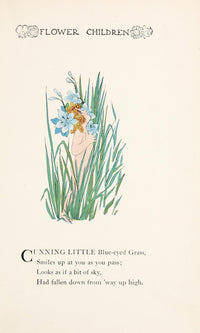 Flower Children Blue-eyed Grass Poster Print by M.T. Ross