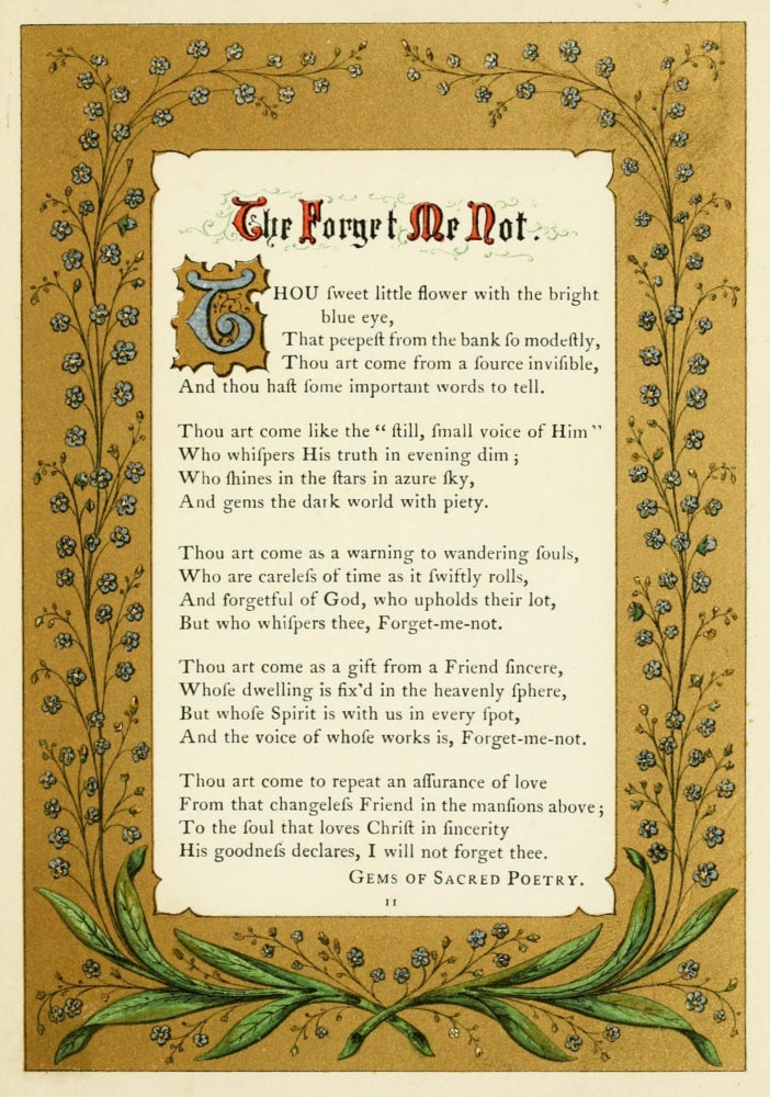 The Floral Gift 1863 Forget-me-not Poster Print by Samuel Stanesby