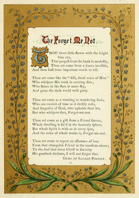 The Floral Gift 1863 Forget-me-not Poster Print by Samuel Stanesby